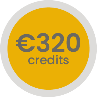 320 euros sur votre compte client (-6,25%)